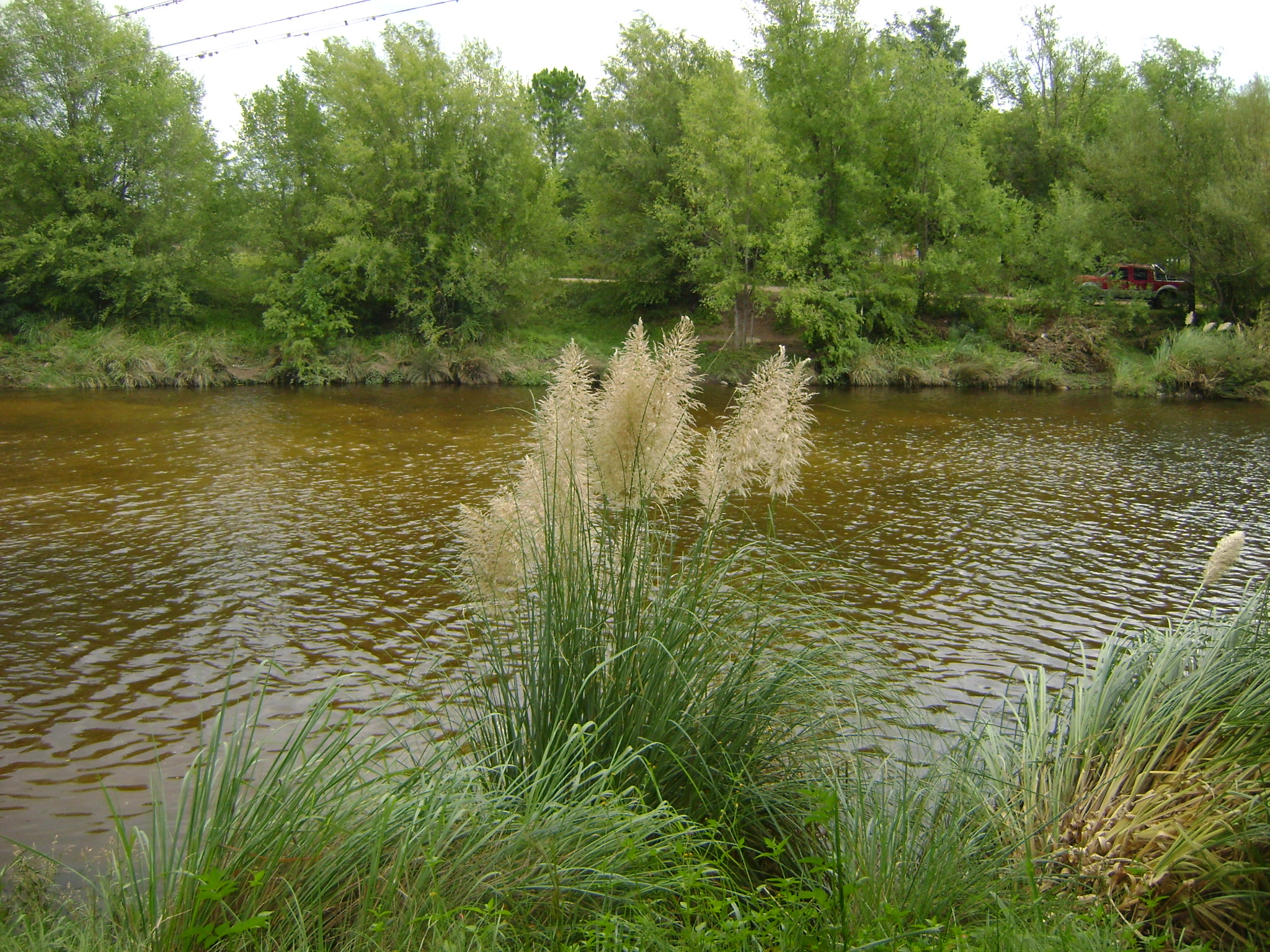 fotos/2011 - Los Reartes/DSC03245.JPG